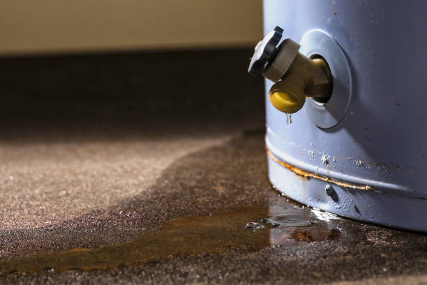 Best Ceiling water damage repair  in Randolph, NE