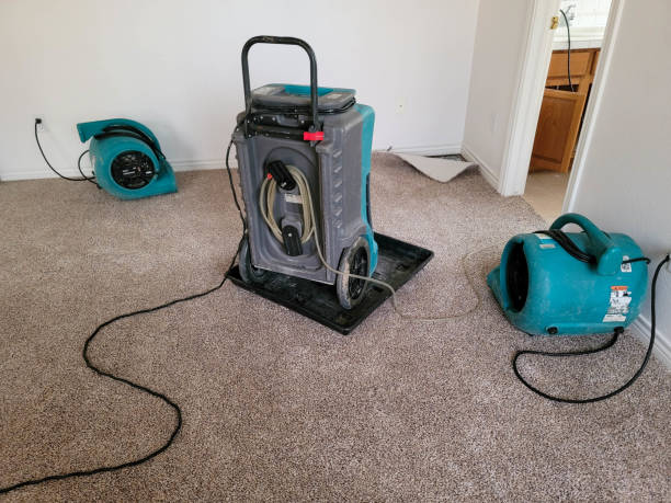 Best 24/7 water damage repair  in Randolph, NE