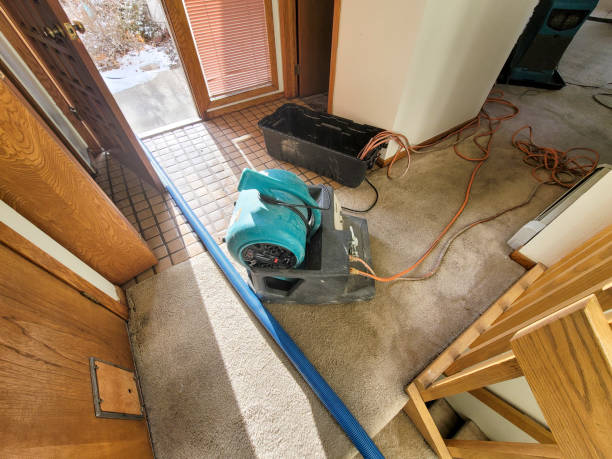 Best Water damage restoration company  in Randolph, NE