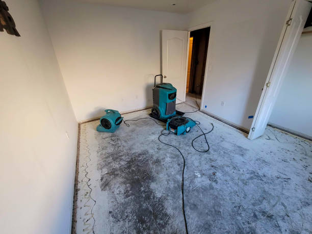 Best Residential water damage restoration  in Randolph, NE