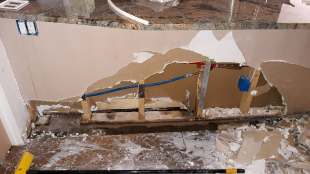 Best Flood damage cleanup  in Randolph, NE