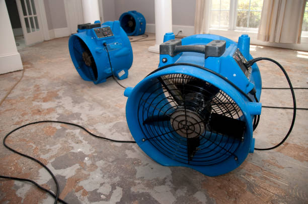 Best Commercial water damage restoration  in Randolph, NE