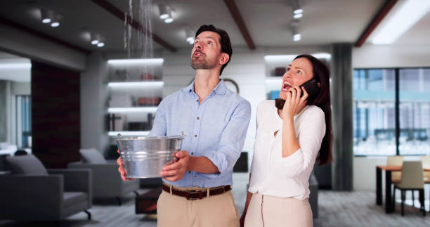 Best Flooded house restoration  in Randolph, NE