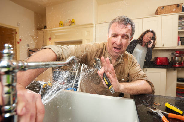 Best Water damage restoration near me  in Randolph, NE
